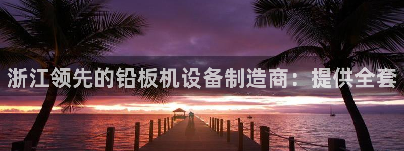 彩神vlll官网网上购彩：浙江领先的铅板机设备制造商：提供全套