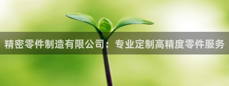 彩神是正规平台吗：精密零件制造有限公司：专业定制高精度零件服务