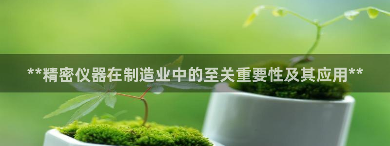 彩神争霸官网登录平台：**精密仪器在制造业中的至关重要性及其应用**