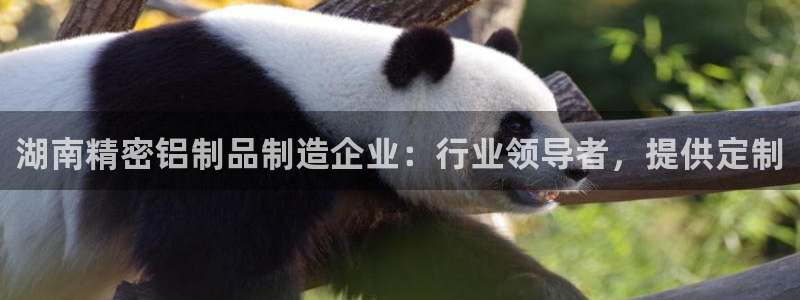 彩神平台之间是什么关系：湖南精密铝制品制造企业：行业领导者，提供定制