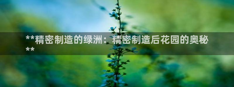 彩神赢的钱是哪里来的：**精密制造的绿洲：精密制造后花园的奥秘
**