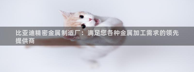 彩神v8手机客户端怎么下载：比亚迪精密金属制造厂：满足您各种金属加工需求的领先
提供商