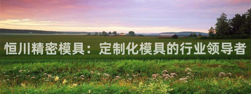彩神vll购彩大厅：恒川精密模具：定制化模具的行业领导者