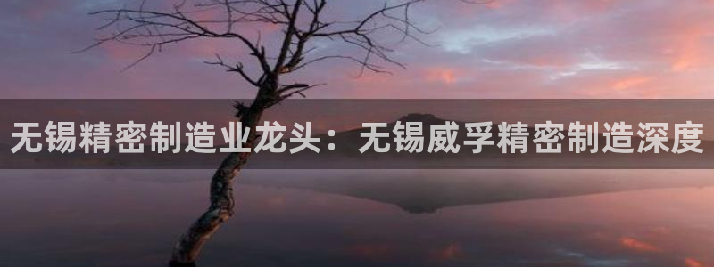 彩神v违法么：无锡精密制造业龙头：无锡威孚精密制造深度