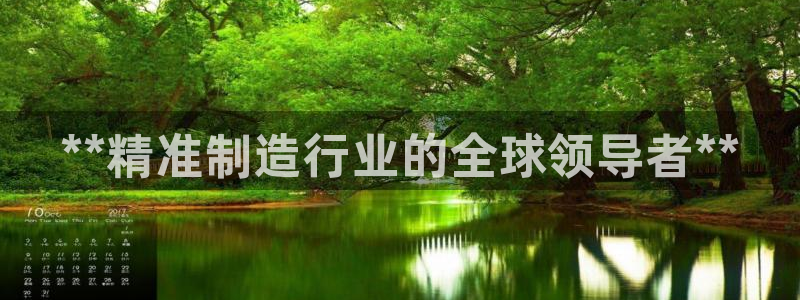 彩神V8有限公司：**精准制造行业的全球领导者**