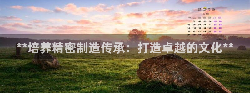 新版彩神v8登录不上去：**培养精密制造传承：打造卓越的文化**
