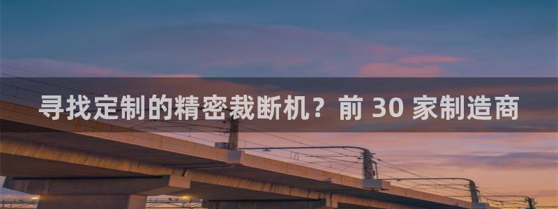 彩神8是正规平台吗安全吗：寻找定制的精密裁断机？前 30 家制造商