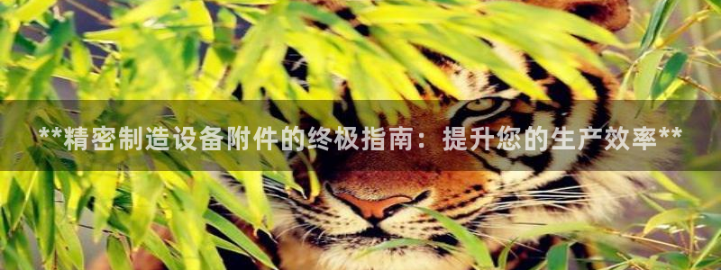 下载彩神乐发V1：**精密制造设备附件的终极指南：提升您的生产效率**