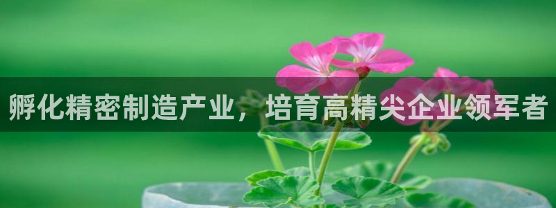 下载彩神乐发V：孵化精密制造产业，培育高精尖企业领军者