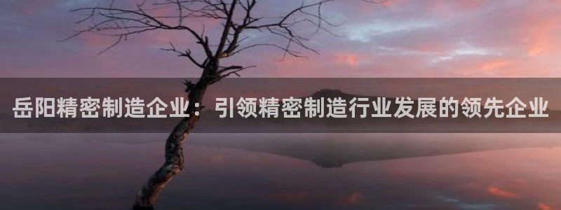 大发彩神最高邀请码：岳阳精密制造企业：引领精密制造行业发展的领先企业