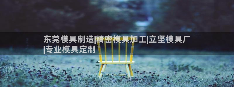 彩神平台之间是什么关系：东莞模具制造|精密模具加工|立坚模具厂
|专业模具定制