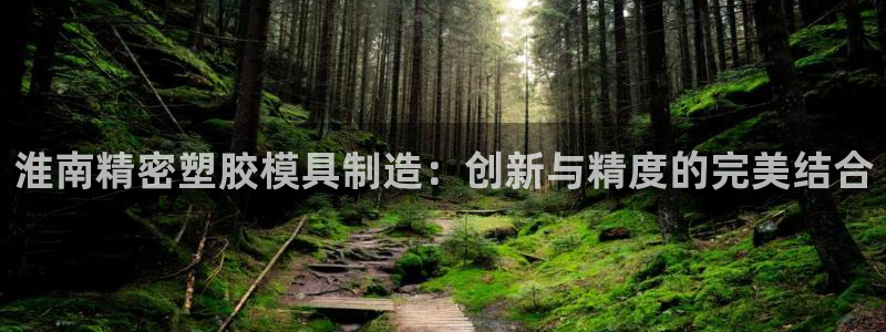彩神正规吗：淮南精密塑胶模具制造：创新与精度的完美结合