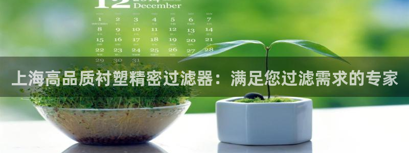 新版彩神v8登录教程：上海高品质衬塑精密过滤器：满足您过滤需求的专家