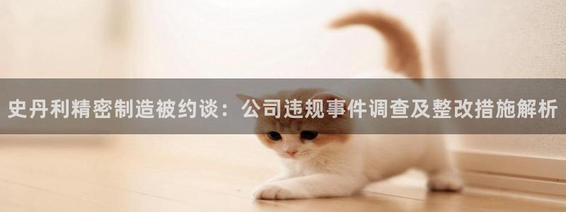 彩神8是正规平台吗安全吗：史丹利精密制造被约谈：公司违规事件调查及整改措施解析
