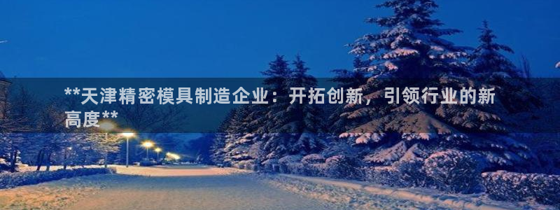 彩神V官网：**天津精密模具制造企业：开拓创新，引领行业的新
高度**