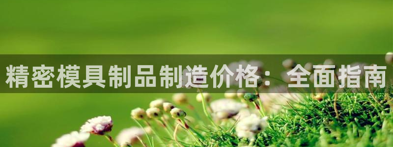 彩神通关注码金码对应码：精密模具制品制造价格：全面指南