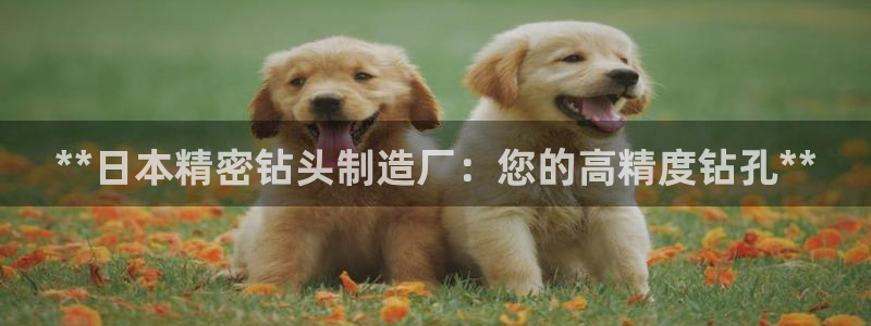 彩神v8官网版：**日本精密钻头制造厂：您的高精度钻孔**