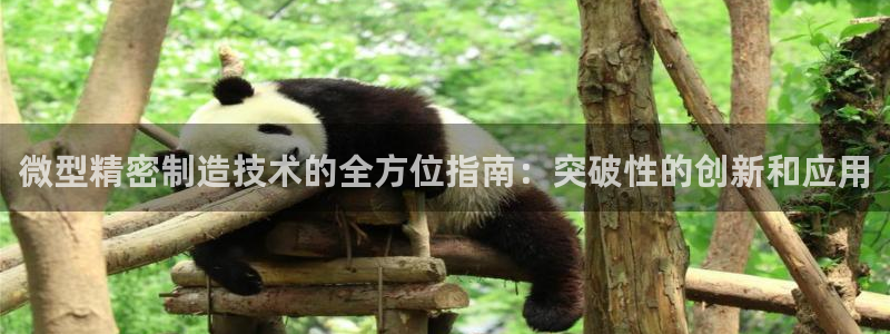彩神vl购彩大厅：微型精密制造技术的全方位指南：突破性的创新和应用
