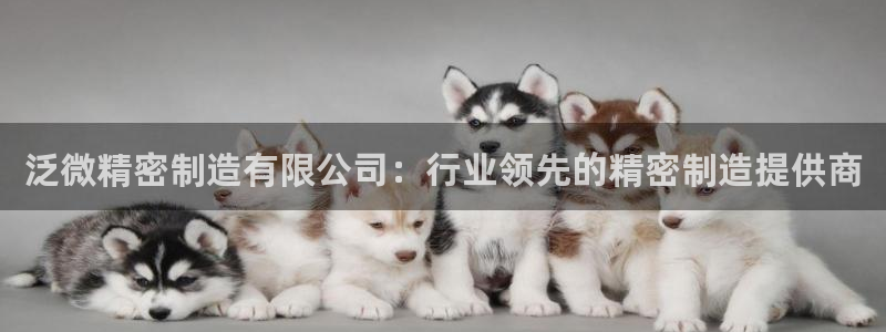 彩神ix官网是哪个公司的：泛微精密制造有限公司：行业领先的精密制造提供商
