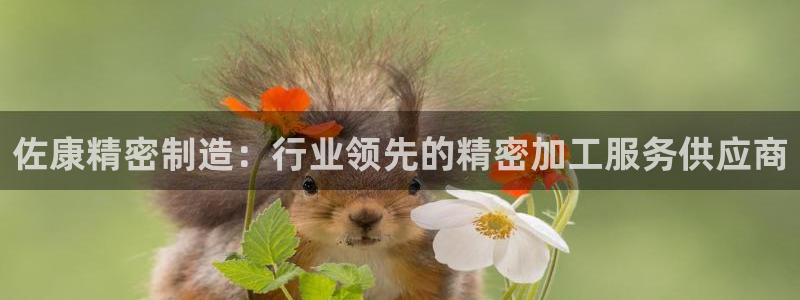 彩神客服电话：佐康精密制造：行业领先的精密加工服务供应商