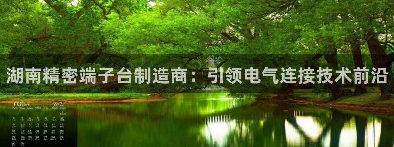 彩神官方登录：湖南精密端子台制造商：引领电气连接技术前沿