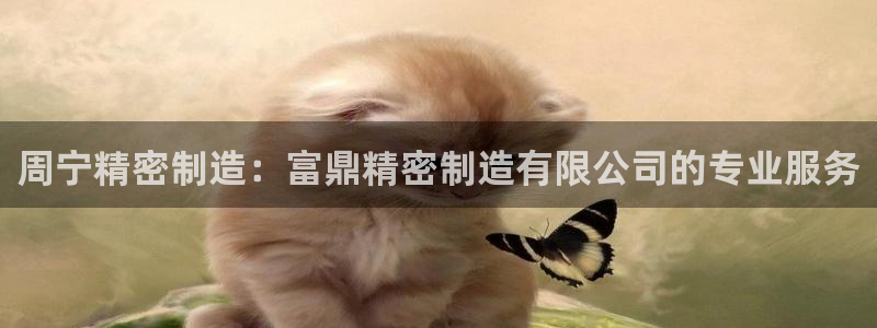 彩神购彩-购彩大厅入口下载：周宁精密制造：富鼎精密制造有限公司的专业服务