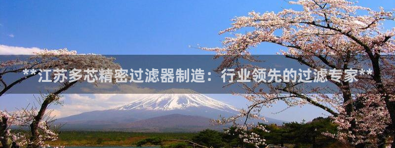 彩神vlll官网网上购彩：**江苏多芯精密过滤器制造：行业领先的过滤专家**