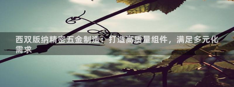 彩神Vii购彩-购彩大厅：西双版纳精密五金制造：打造高质量组件，满足多元化
需求