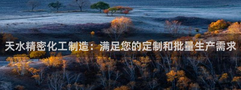 彩神数码科技有限公司：天水精密化工制造：满足您的定制和批量生产需求