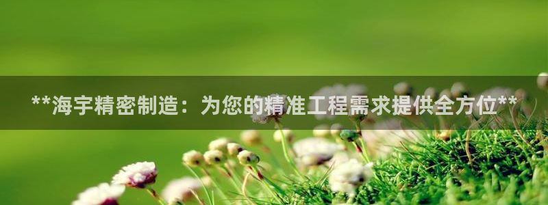 彩神velcome购彩大厅：**海宇精密制造：为您的精准工程需求提供全方位**