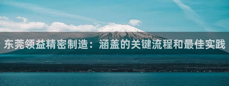 彩神盈利图片：东莞领益精密制造：涵盖的关键流程和最佳实践