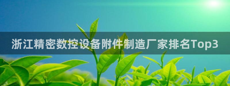 彩神V3大赢家：浙江精密数控设备附件制造厂家排名Top3