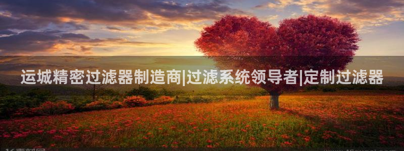 彩神是真的吗：运城精密过滤器制造商|过滤系统领导者|定制过滤器