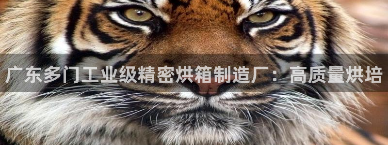 彩神x平台靠什么盈利：广东多门工业级精密烘箱制造厂：高质量烘培