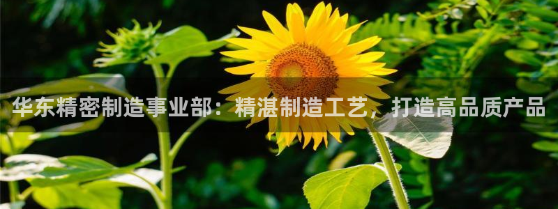 彩神Vii购彩-购彩大厅：华东精密制造事业部：精湛制造工艺，打造高品质产品