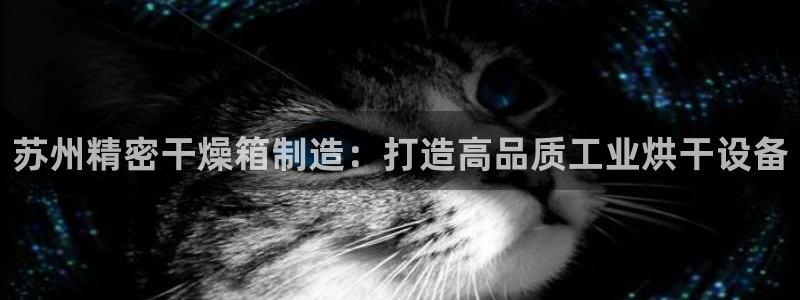 新版彩神v8登录：苏州精密干燥箱制造：打造高品质工业烘干设备