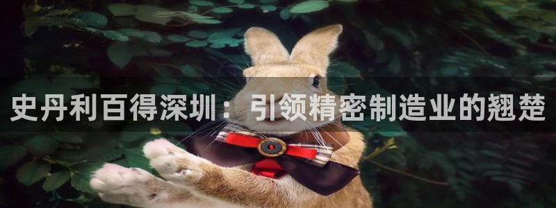 彩神vlll(中国)百度百科：史丹利百得深圳：引领精密制造业的翘楚