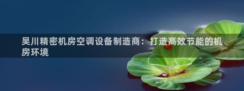 彩神平台：吴川精密机房空调设备制造商：打造高效节能的机
房环境