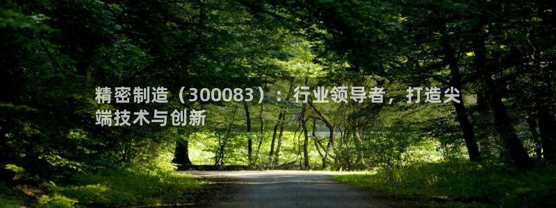 彩神xapp官方网站：精密制造（300083）：行业领导者，打造尖
端技术与创新