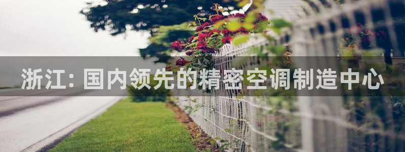 彩神v8手机客户端在哪：浙江: 国内领先的精密空调制造中心