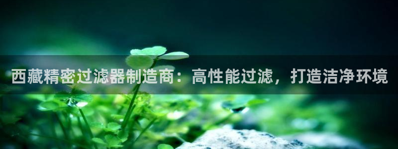 彩神购彩-购彩大厅入口下载：西藏精密过滤器制造商：高性能过滤，打造洁净环境