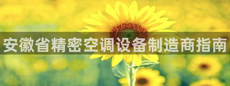 彩神vll官网-最新版app下载：安徽省精密空调设备制造商指南