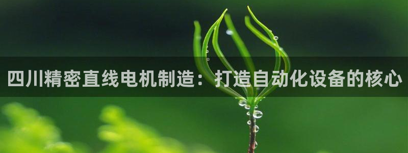 彩神旗下有哪些平台可以玩：四川精密直线电机制造：打造自动化设备的核心
