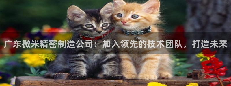彩神大发如何观察走势：广东微米精密制造公司：加入领先的技术团队，打造未来