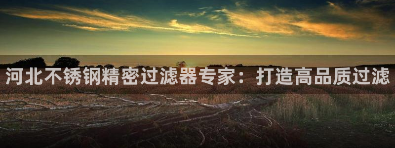 彩神大发云：河北不锈钢精密过滤器专家：打造高品质过滤