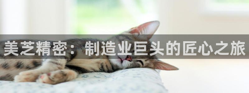 彩神8彩平台：美芝精