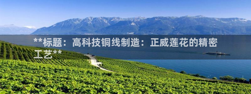 彩神vll趣投彩：**标题：高科技铜线制造：正威莲花的精密
工艺**