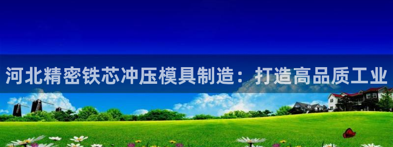 彩神官方邀请码是多少：河北精密铁芯冲压模具制造：打造高品质工业