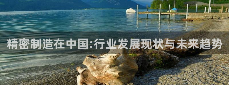 彩神ⅴll用户登录：精密制造在中国:行业发展现状与未来趋势