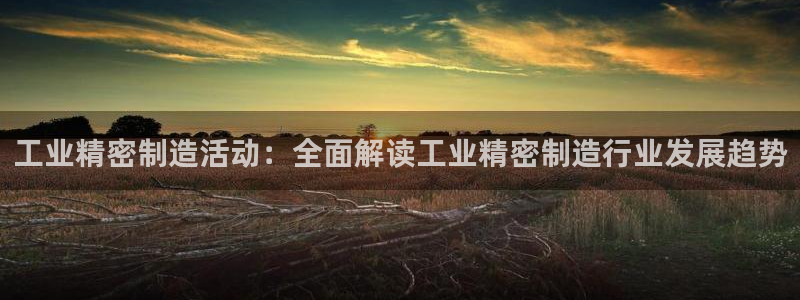 彩神v8是一个什么平台啊：工业精密制造活动：全面解读工业精密制造行业发展趋势